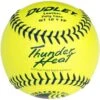 Dudley 12" USSSA WT 12 Thunder Heat Fastpitch Softballs (Dozen): 4U147Y 2 Dudley 12" USSSA WT 12 Thunder Heat Fastpitch Softballs (Dozen): 4U147Y -Rawlings Store 4U147Y